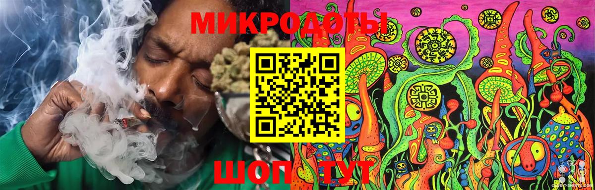 Галлюциногенные грибы Psilocybe Канаш