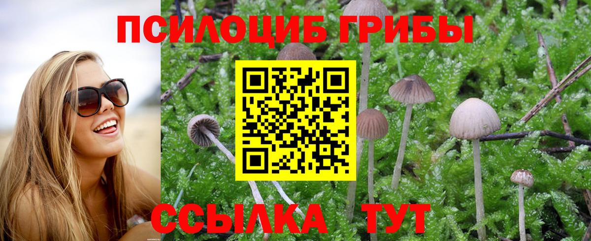 Кокаин  Конопля  Вход с VPN  ЭКСТАЗИ  Канаш  Гашиш  Меф МЯУ МЯУ кристаллы 